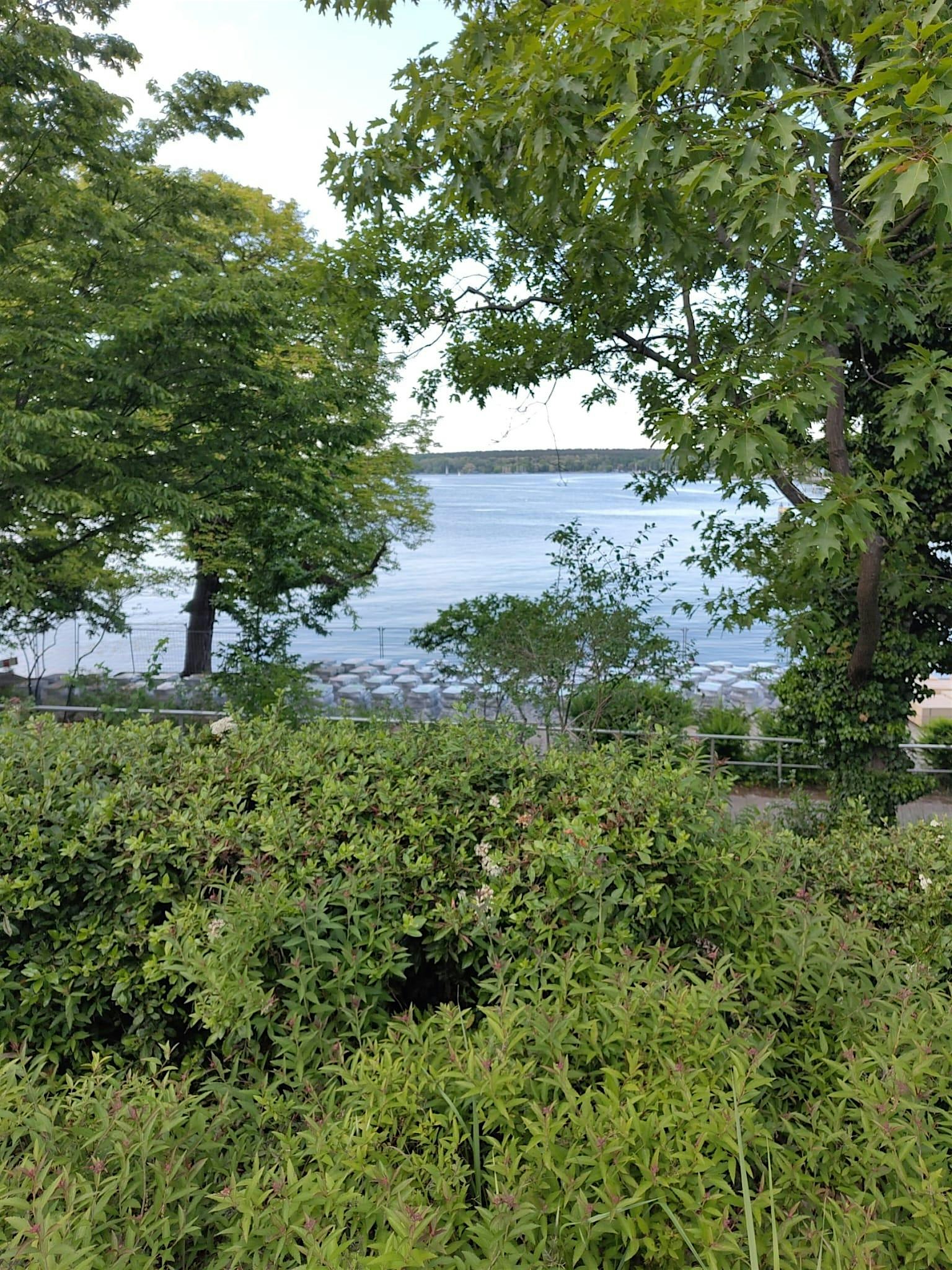 So,19.10.25 Wanderdate  Düppeler Forst –Griebnitzsee und Wannsee ,40+