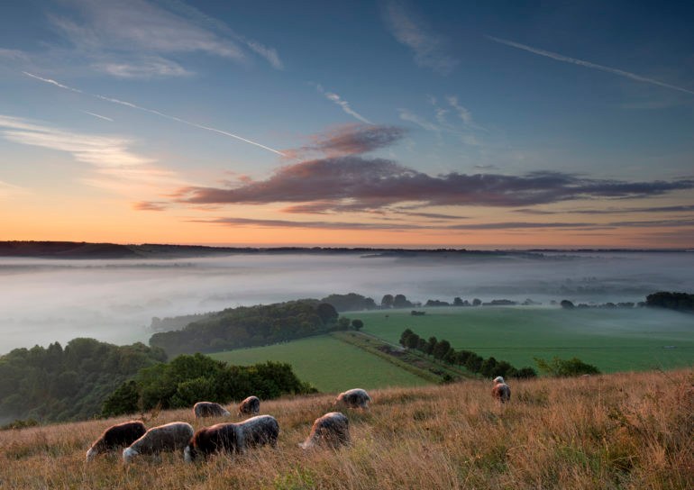 Day hike: Arundel adventure to Amberley village: Ascend to Amazing Views