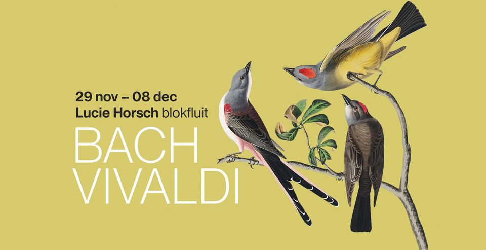 Bach, Vivaldi & Namavar