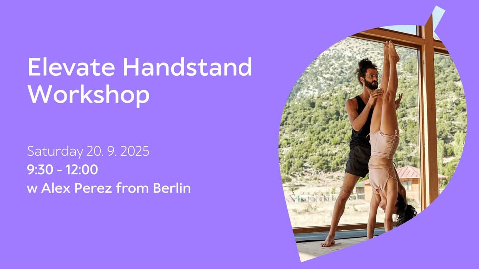 Elevate Handstand Workshop w Alex Perez