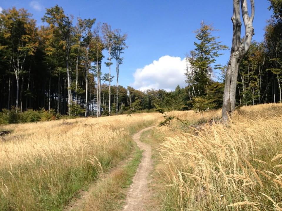 Hike no 2 : Stupava to Zahorska Bystrica