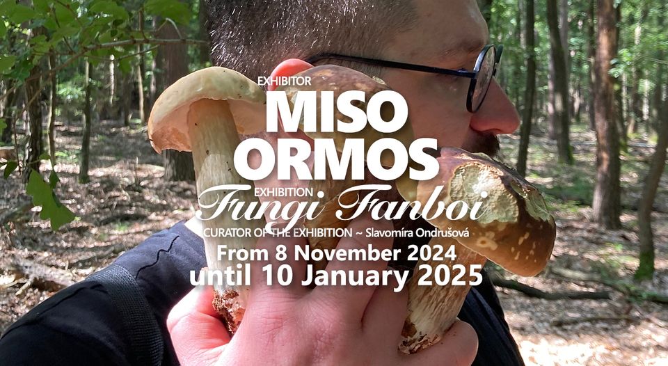 Miso Ormos ★ Fungi Fanboi