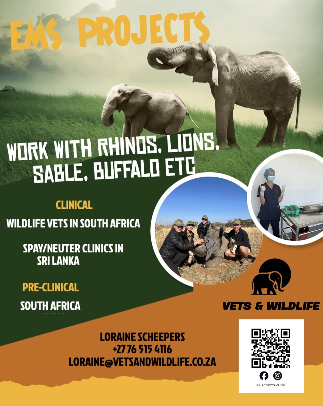 Vets & Wildlife
