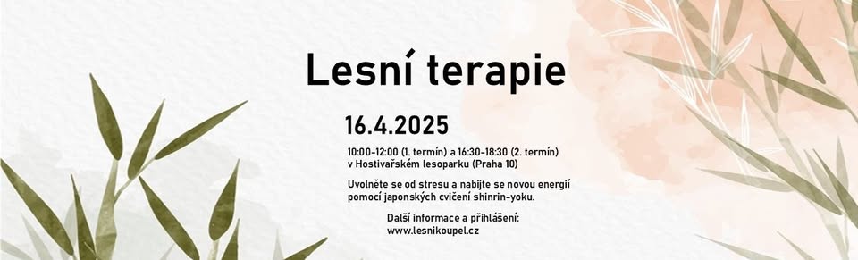 Lesní koupel - terapie lesem