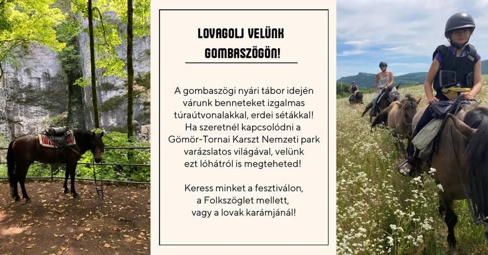 Gombaszögi Summer Camp - Festival Riding
