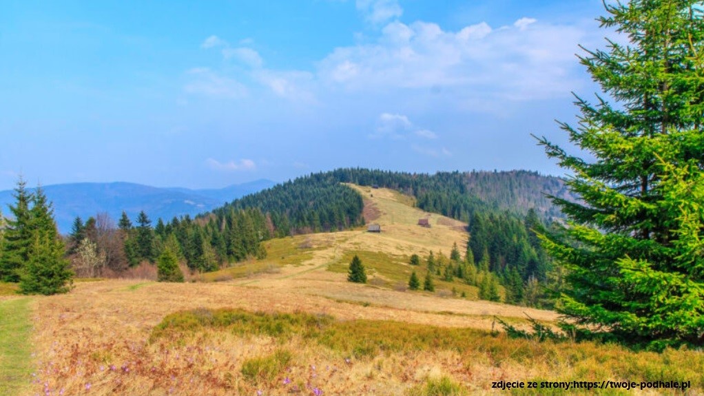 Gorczańskie wędrówki - Turbacz 1310 m