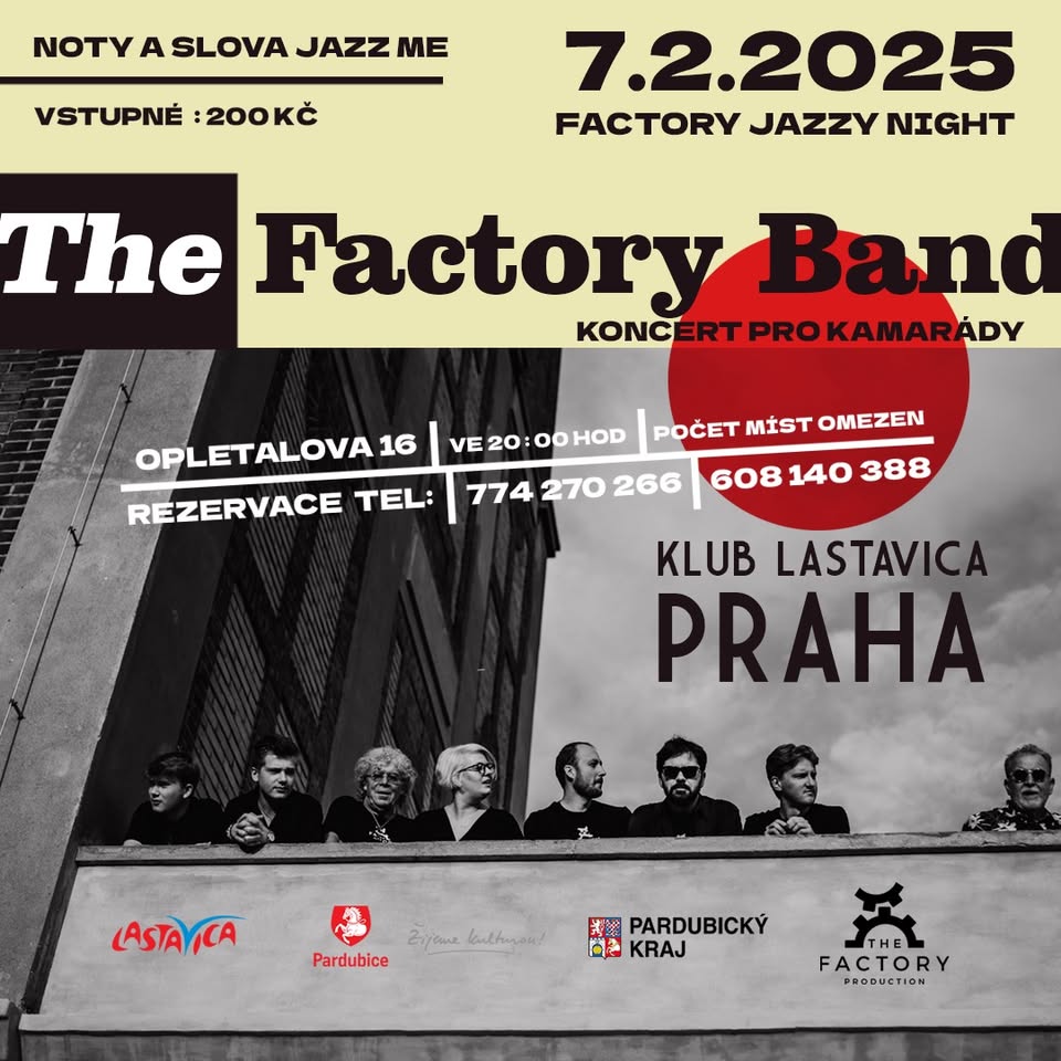 The Factory Band & Lastavica