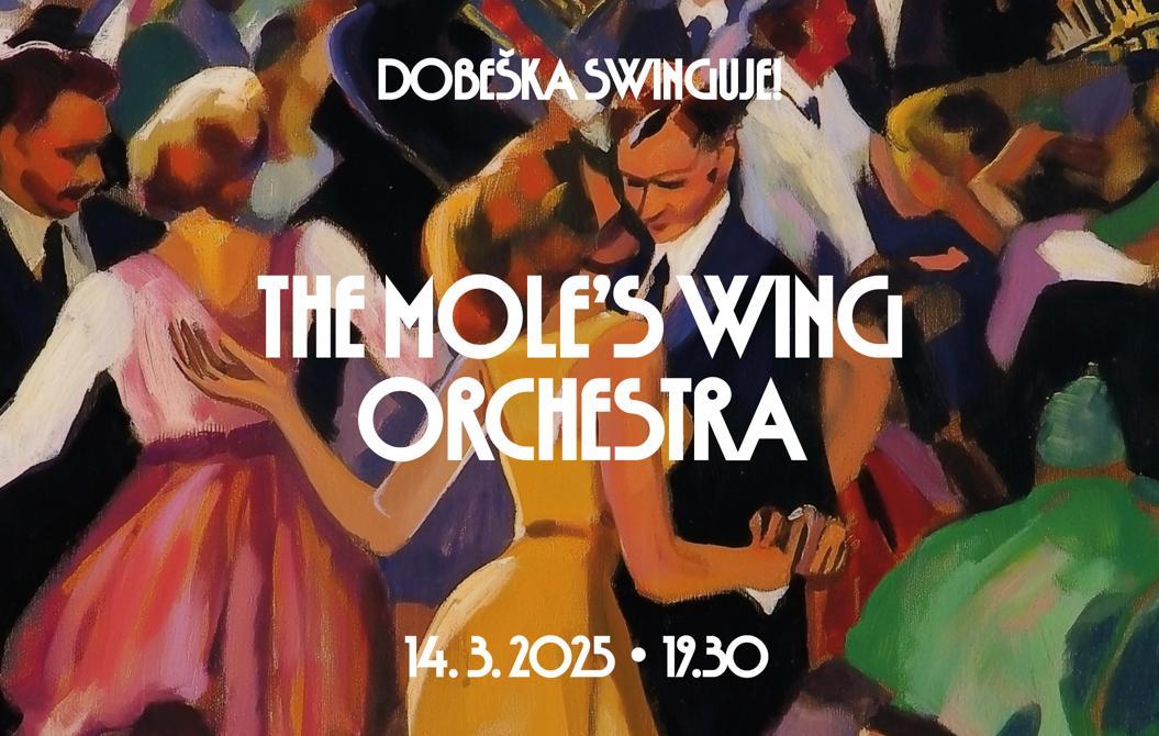 The Mole's Wing Orchestra - Koncert