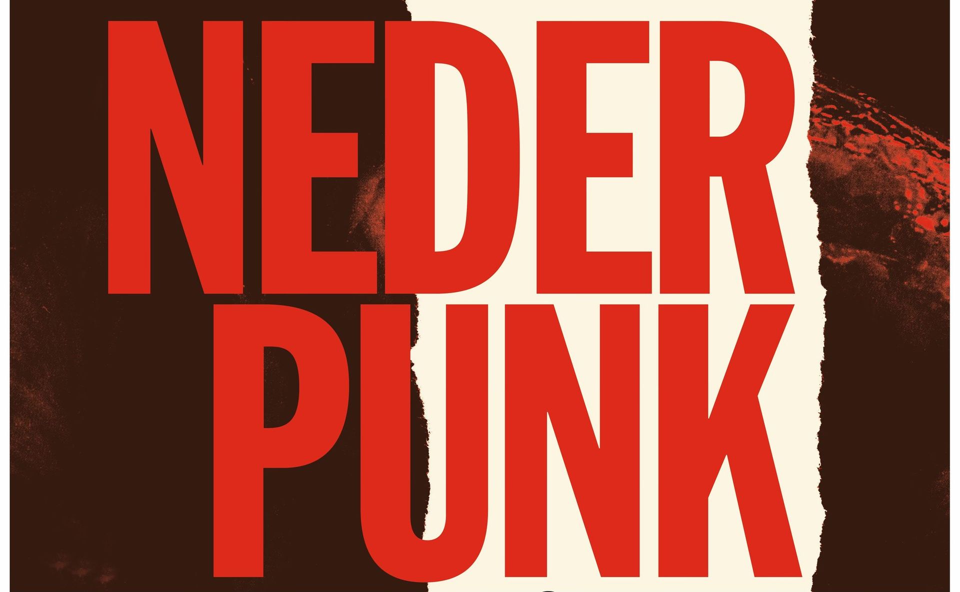 Nederpunkfestival in Paradiso