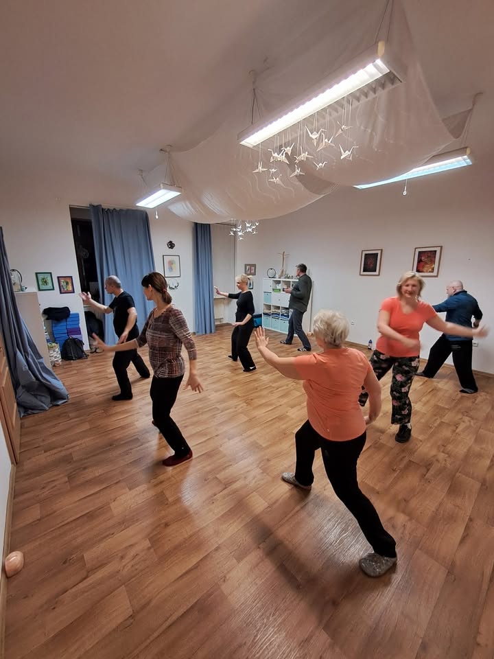 Tai chi Yang 108 forem a Chi gong