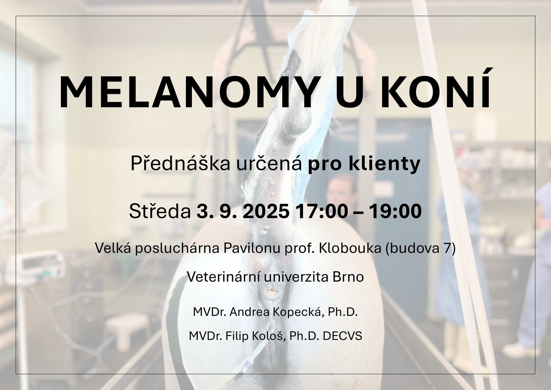 Melanomy u koní