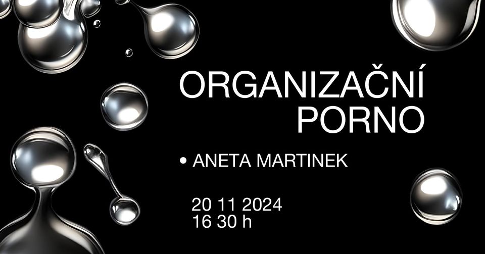 Organizační porno • Aneta Martinek