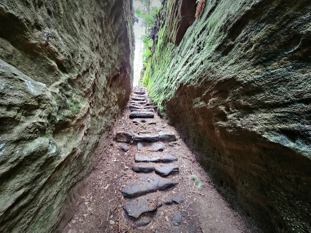 Toulovcovy maštale 28.6.2025