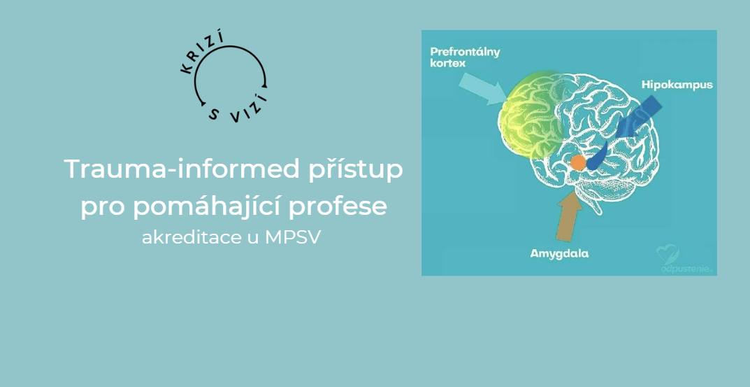 Trauma informed přístup pro pomáhající profese