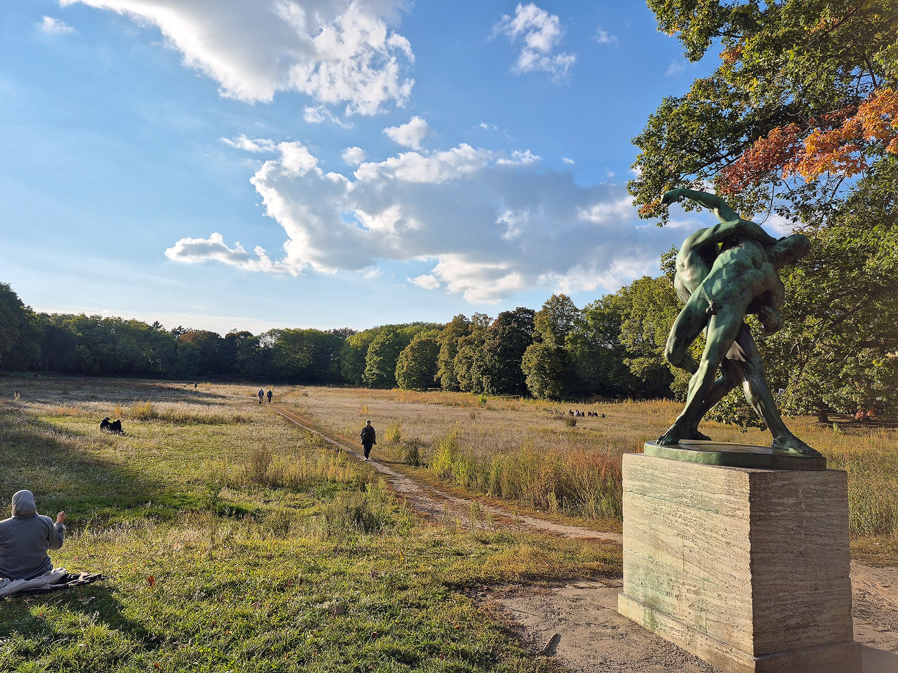 Der Volkspark Rehberge - Von der Ringer- zur Wildbienenwiese