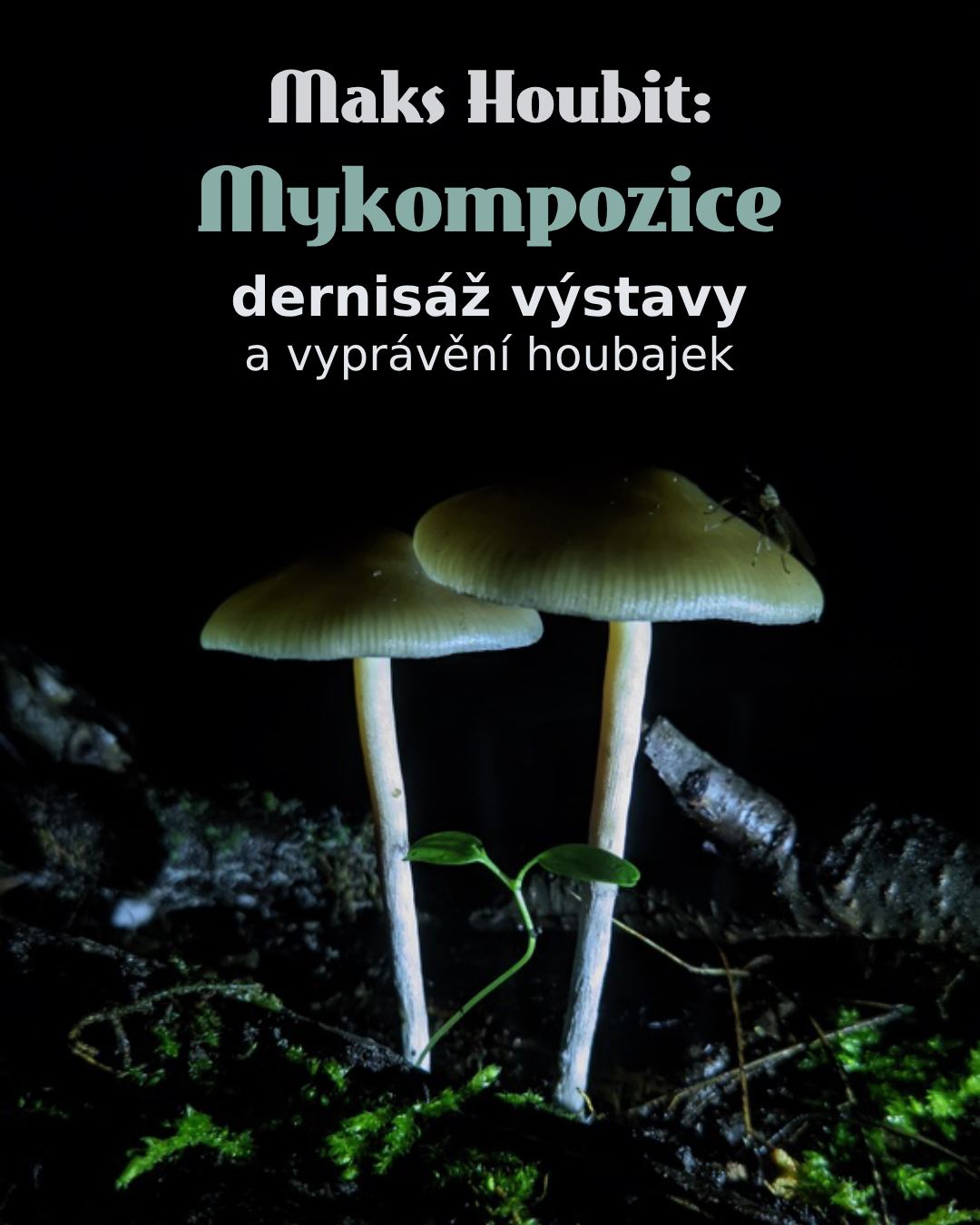 Maks Houbit: Mykompozice (dernisáž výstavy)