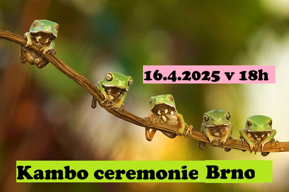 Kambo ceremonie Brno 16.4.2025