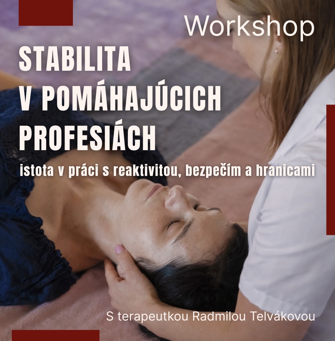 WORKSHOP STABILITA V POMÁHAJÚCICH PROFESIÁCH - istota v práci s reaktivitou, bezpečím a hranicami