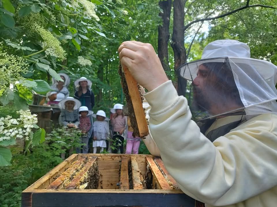 PŘÍMĚSTSKÝ TÁBOR pořádá spolek SRDCEVČELE z.s.