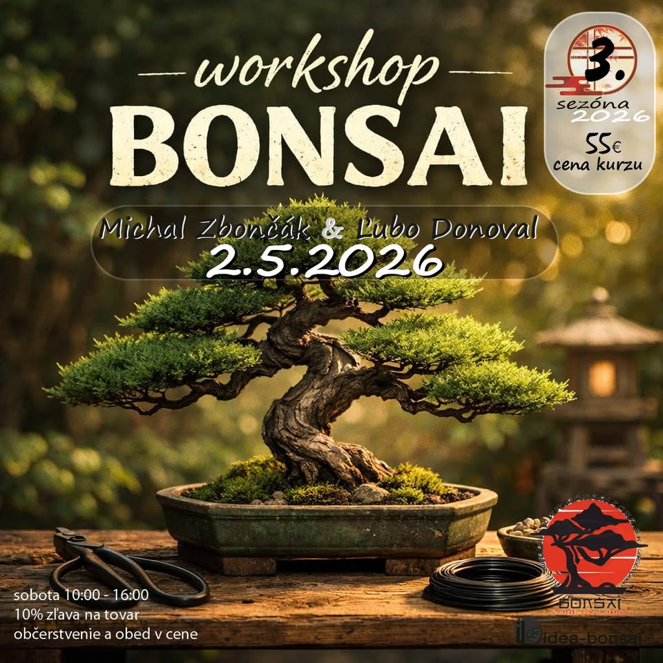 BONSAI Workshop 3.