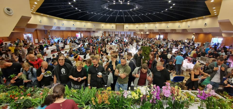 TERRA KORUNA Prodeje Orchidejí, Masožravek a Tropických rostliny na Terária