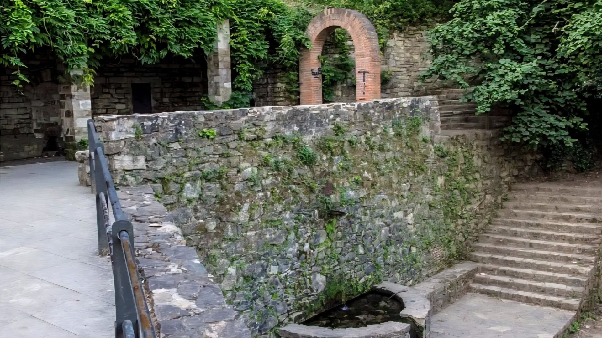 Paseo consciente en la naturaleza