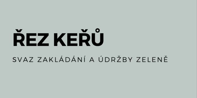Řez keřů