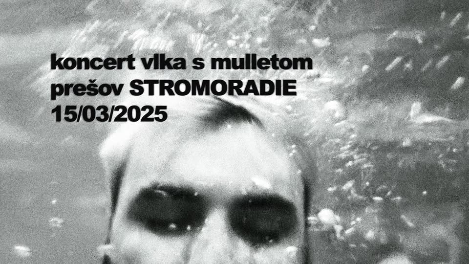 koncert vlka s mulletom @ STROMORADIE