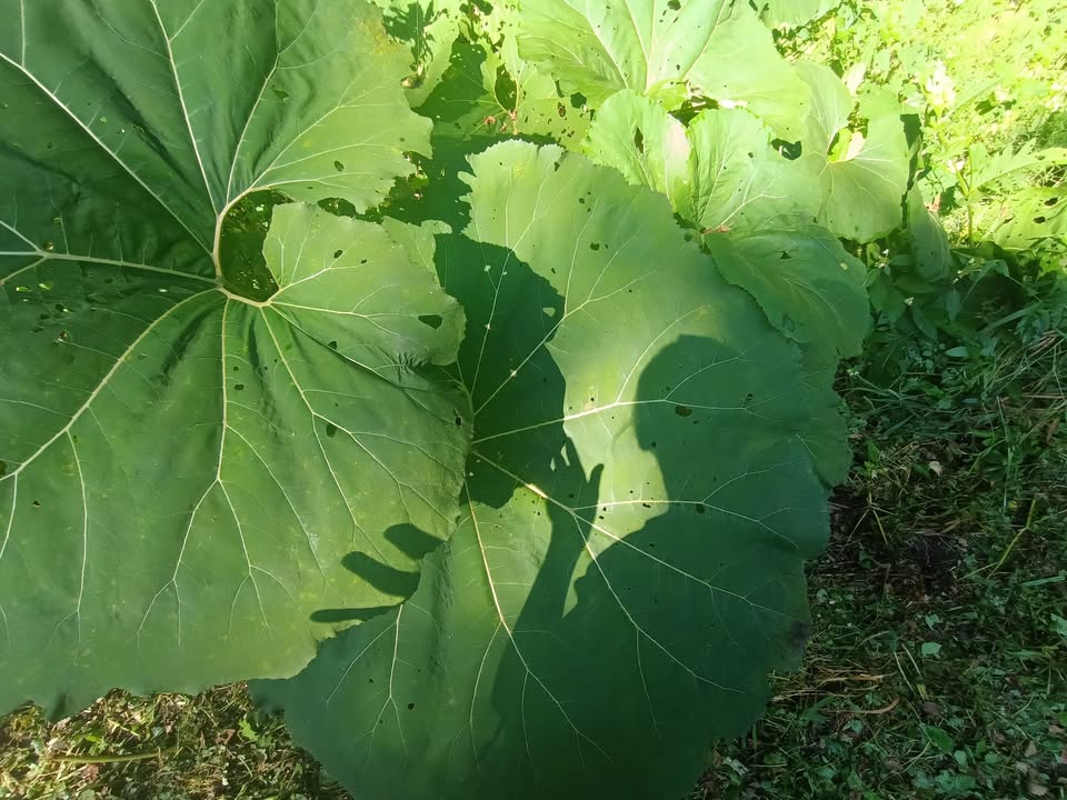 V súlade so sebou a prírodou