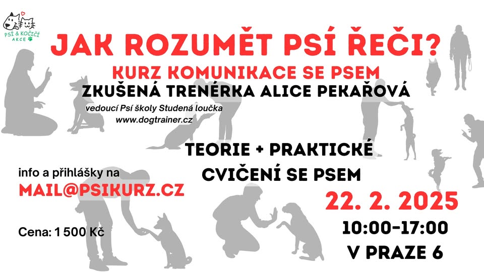 Psí řeč - intenzivní kurz komunikace psů