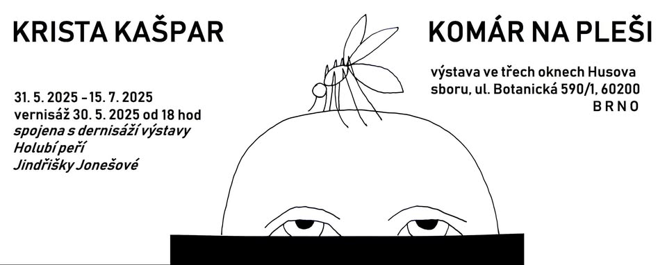 Krista Kašpar: Komár na pleši