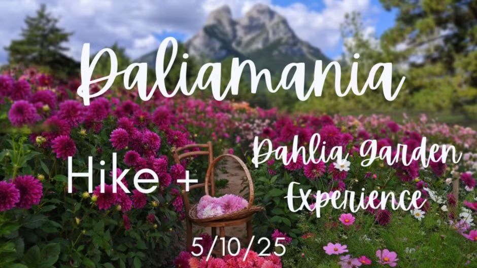 🌸🌸 🌺 DALIAMANIA + HIKE Miradors al Pedraforca  🌸 🌺 🌺