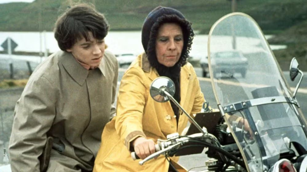 Film Club: Harold and Maude