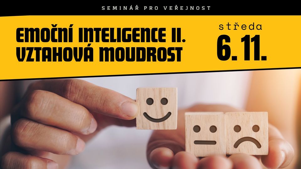 Emoční inteligence II: Vztahová moudrost