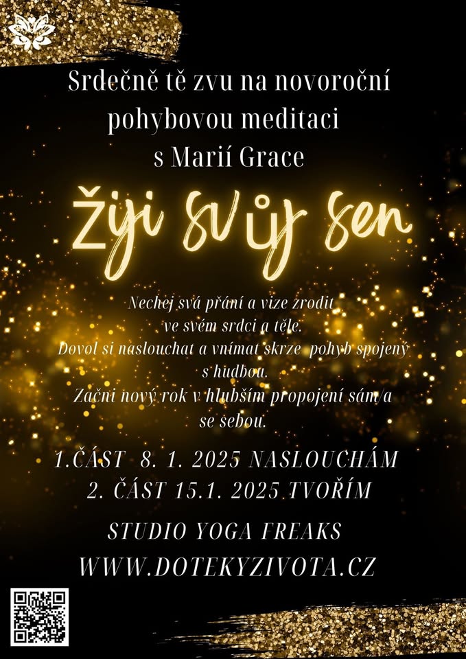 Žiji svůj sen
