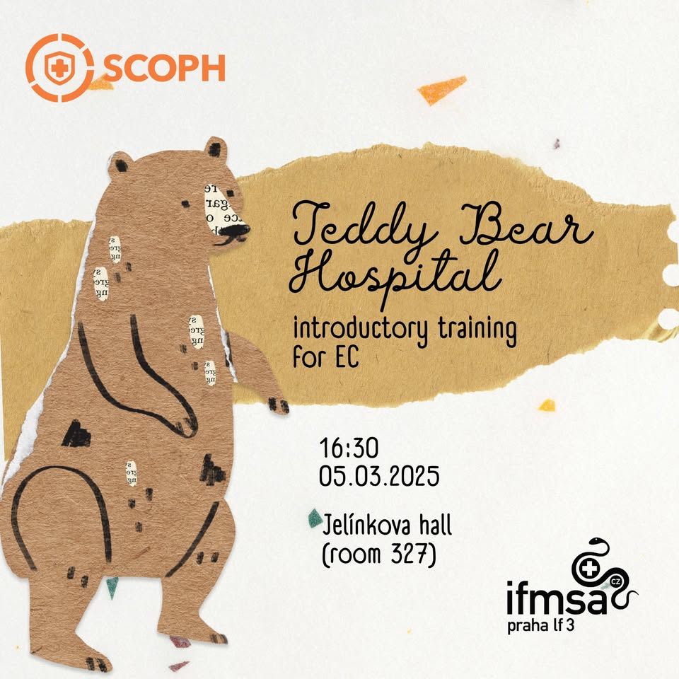 Teddy Bear Hospital - introductory training for EC
