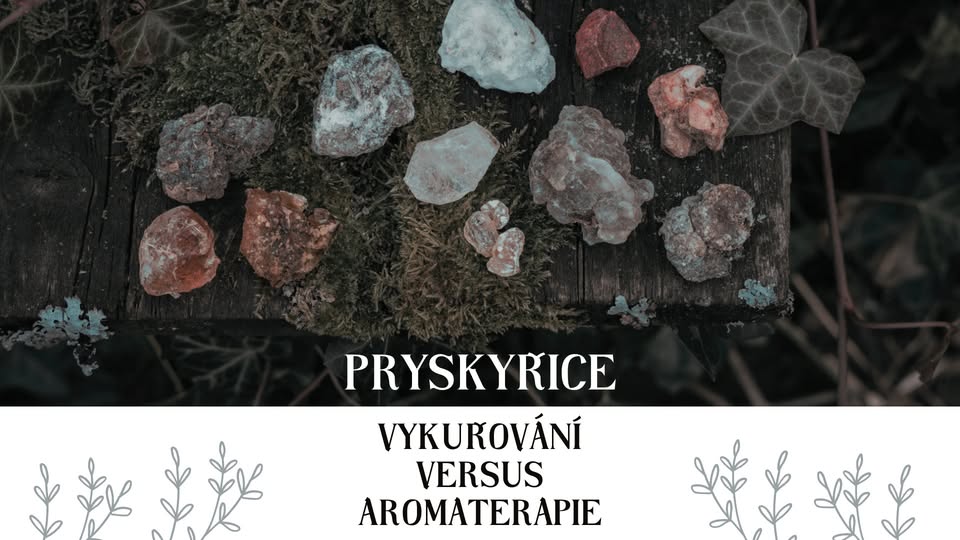 Vykuřování versus Aromaterapie - Pryskyřice - léčivá síla stromů