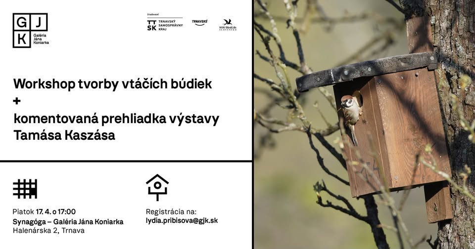 Workshop tvorby vtáčích búdiek  a komentovaná prehliadka výstavy Home Made Homes Tamása Kaszása