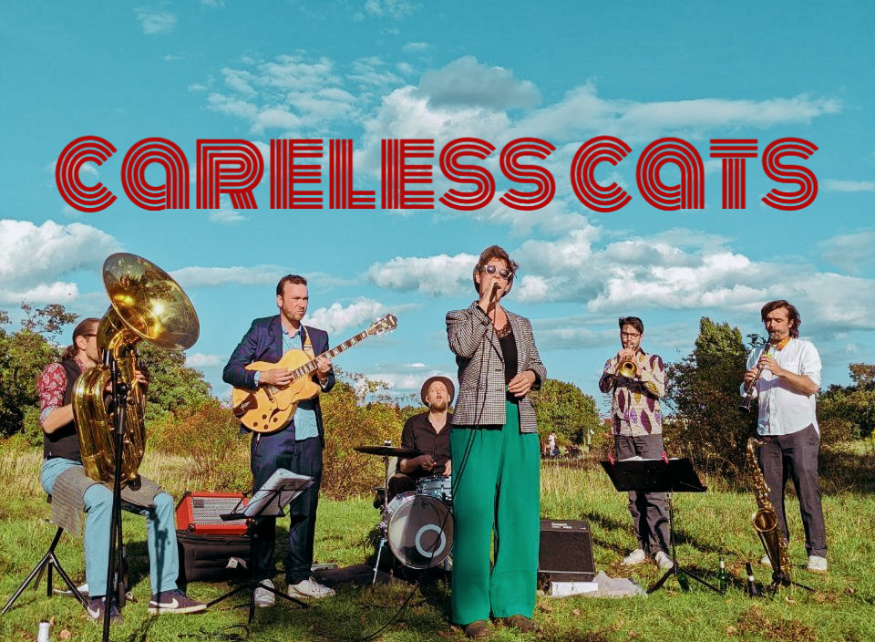 CARELESS CATS LIVE!