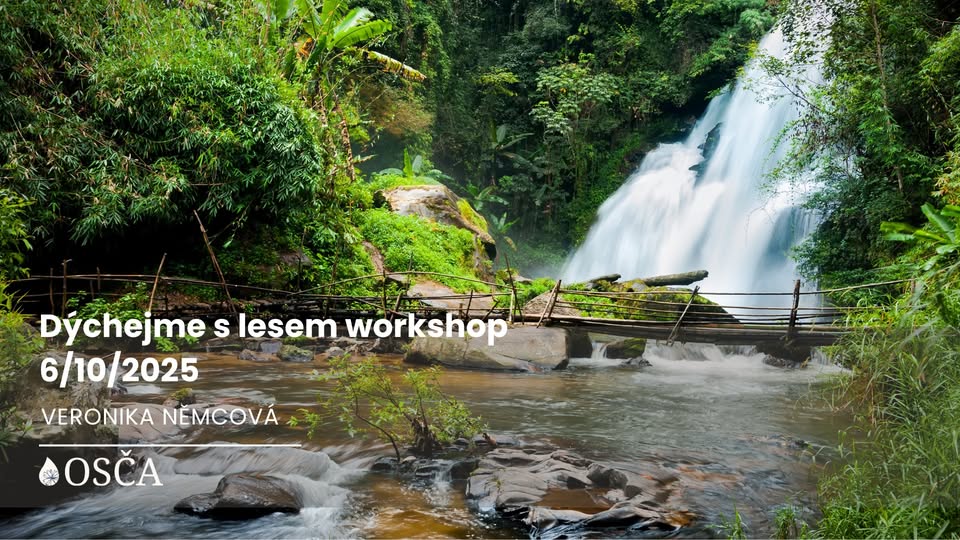 DÝCHEJME S LESEM workshop