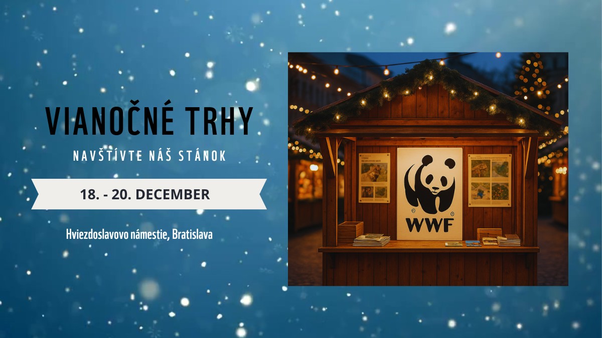 🎄 WWF Slovensko na Bratislavských Vianočných Trhoch 🎄