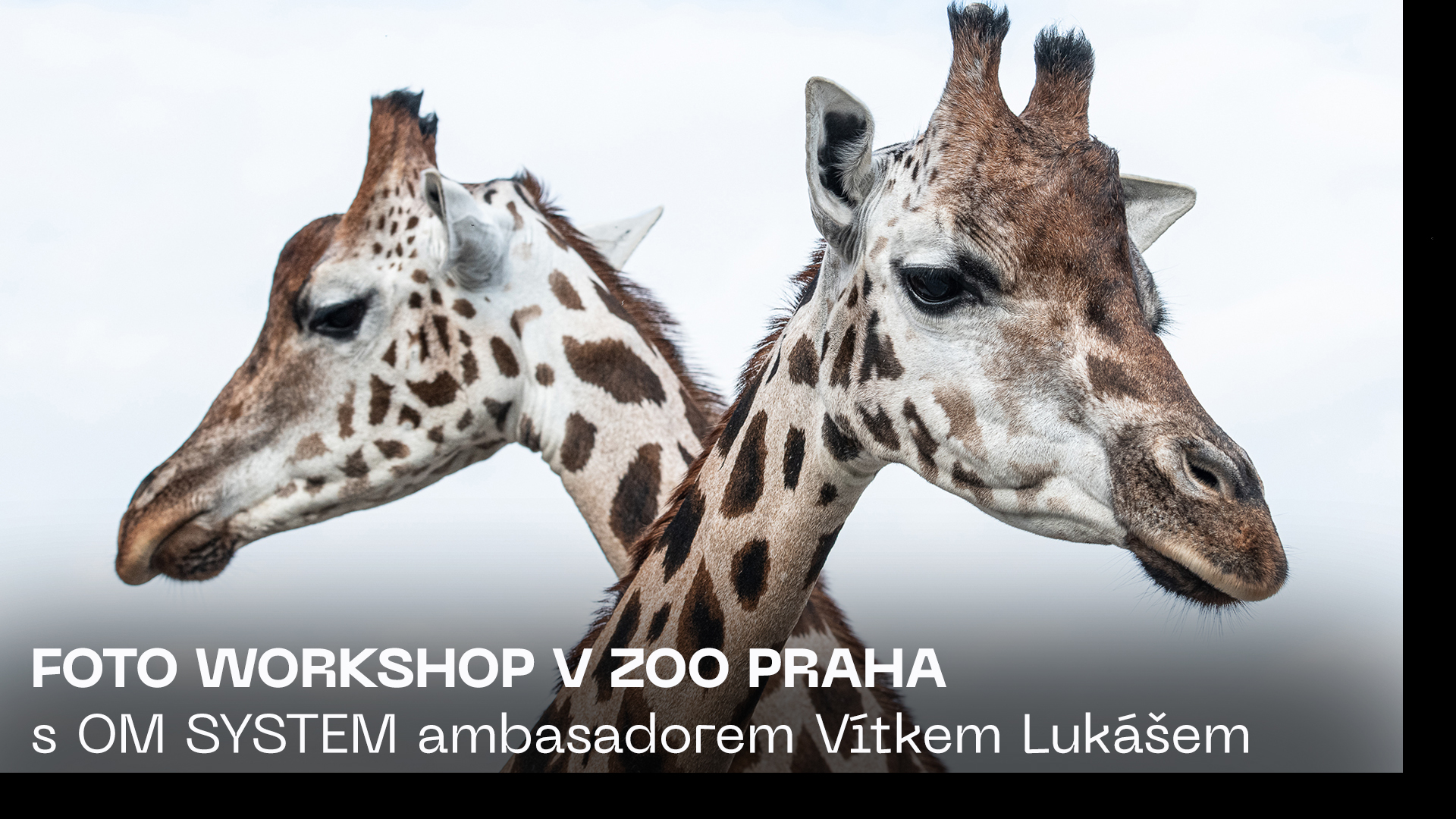 FOTO WORKSHOP | Za zvířaty do ZOO Praha s Vítkem Lukášem