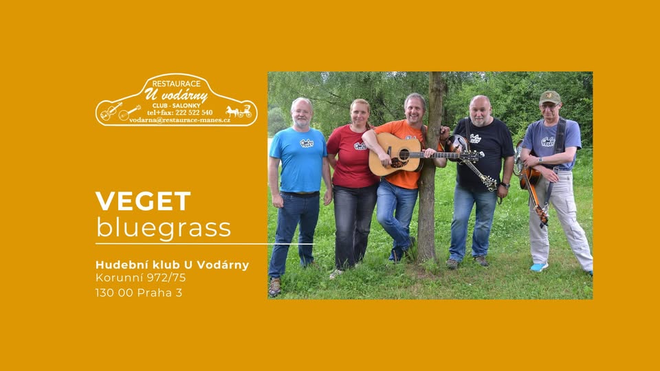 VEGET bluegrass