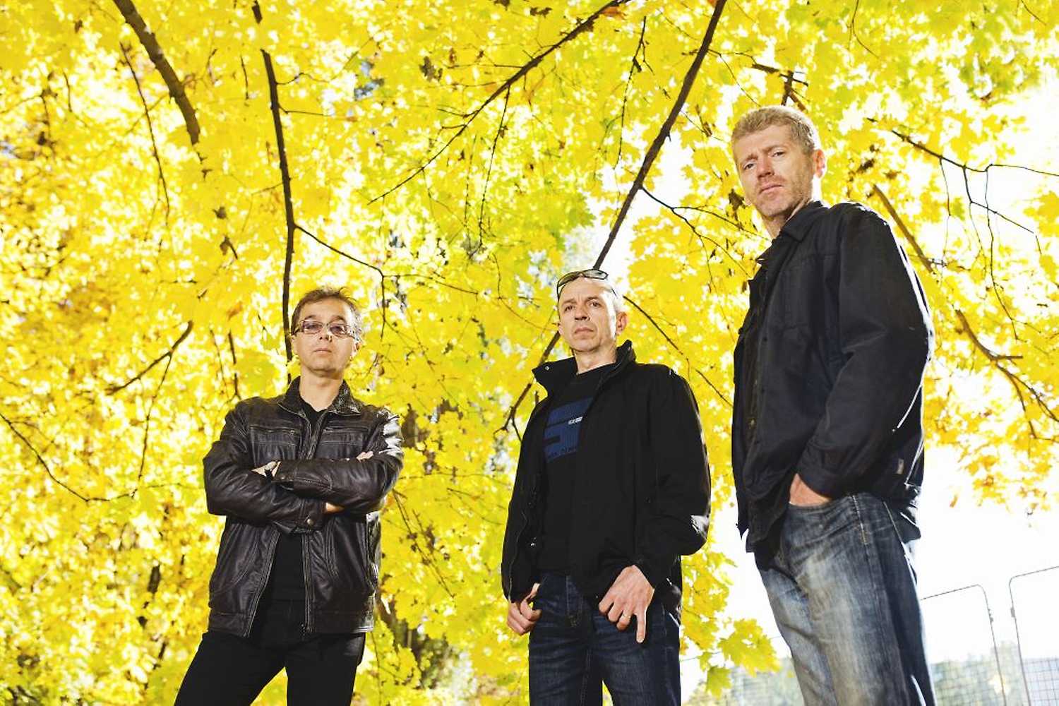 AMC Trio