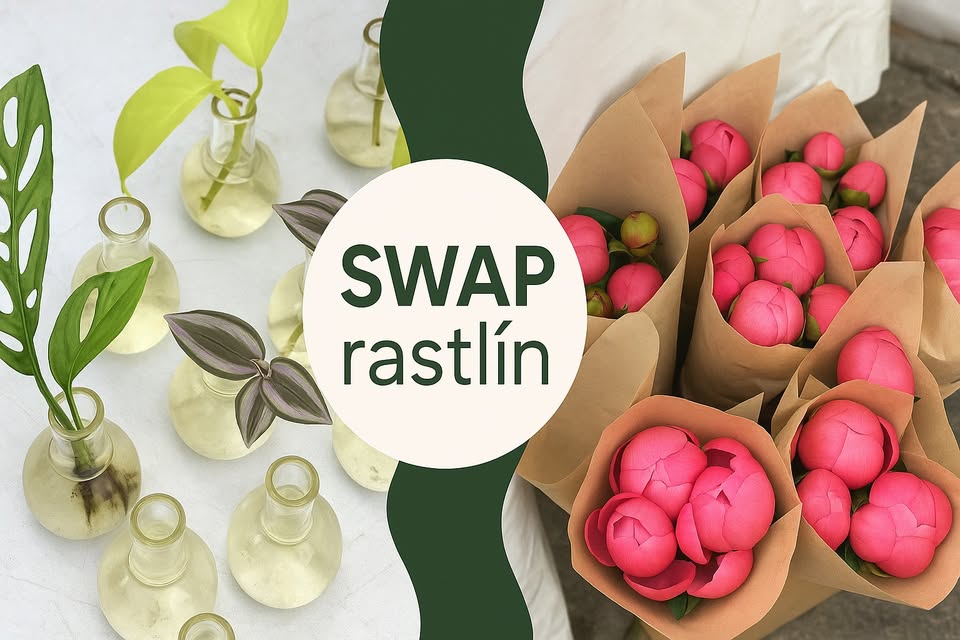 SWAP odrezkov a pivonkový POP-UP 🌱🌸