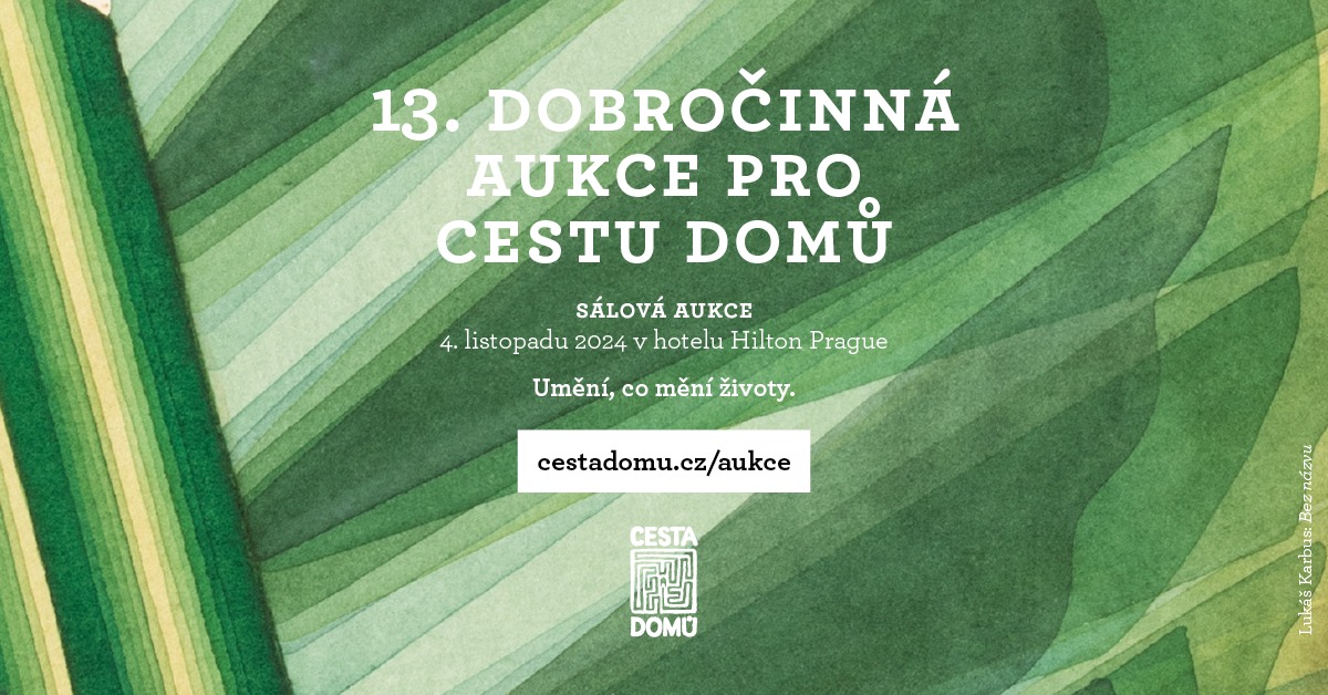 13. dobročinná aukce pro Cestu domů // sálová aukce