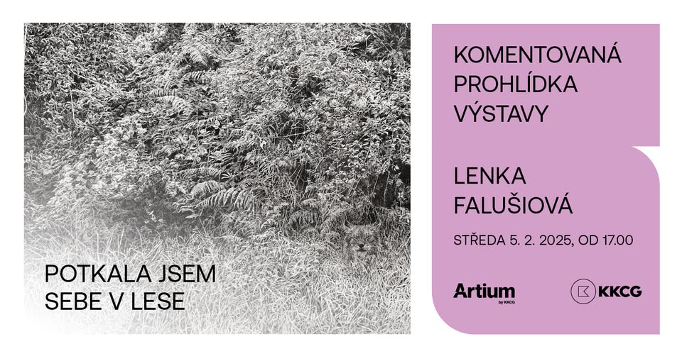 Komentovaná prohlídka výstavy "Potkala jsem sebe v lese"