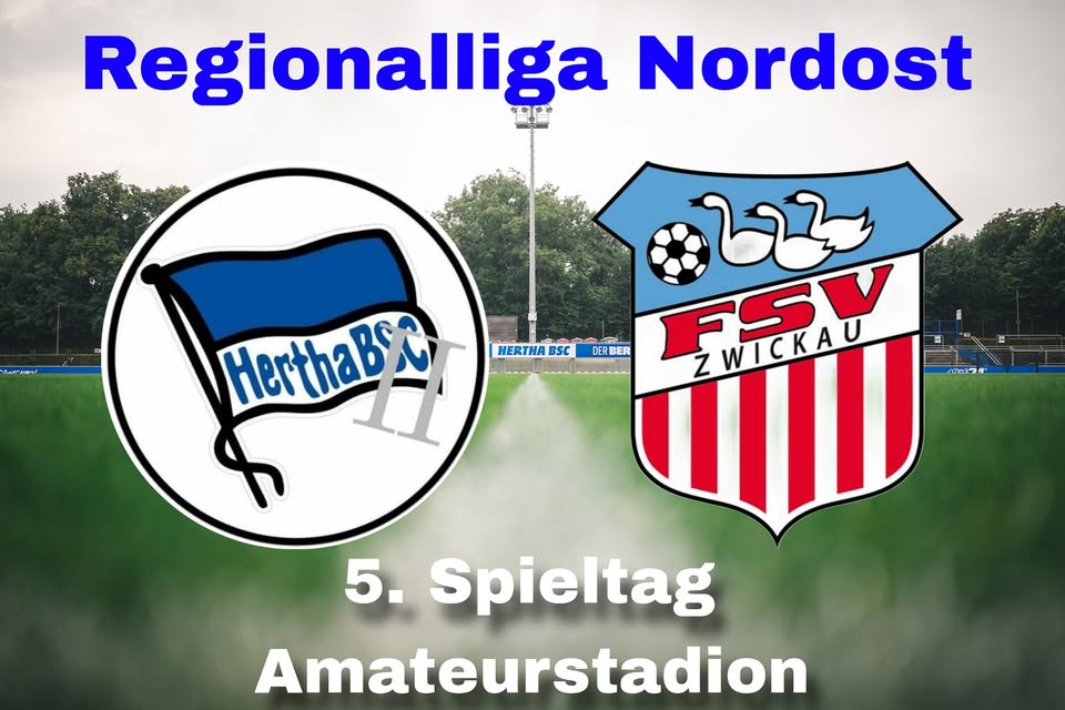 Regionalliga Nordost: Hertha BSC U23 gg FSV Zwickau