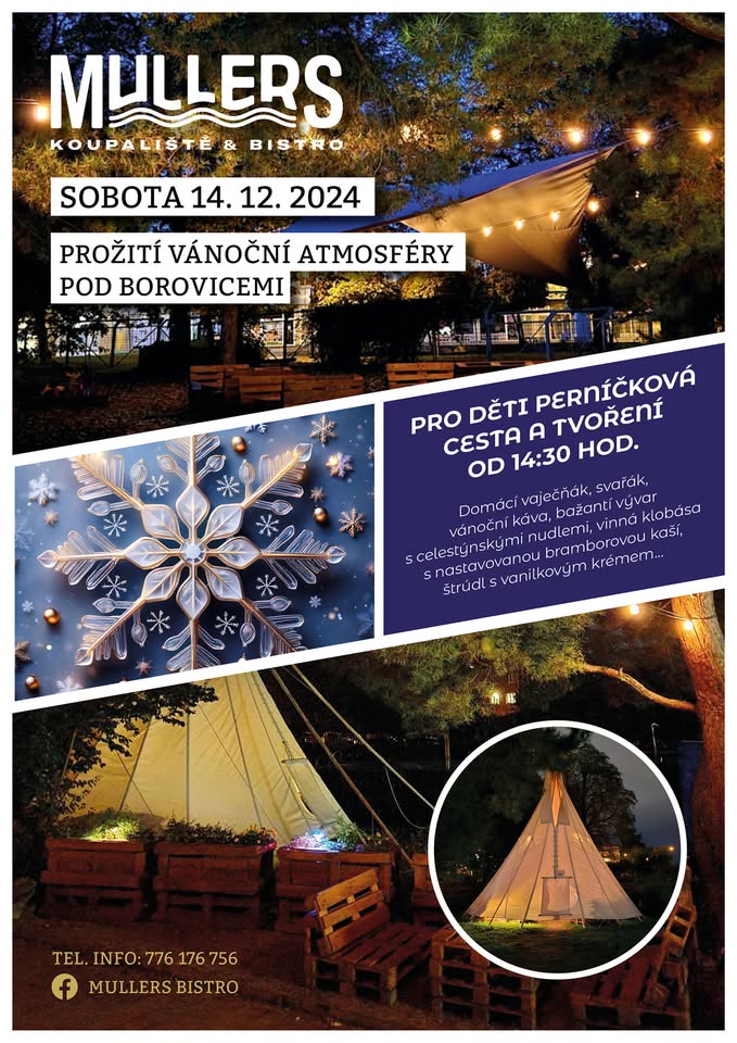 Vánoční setkání pod borovicemi