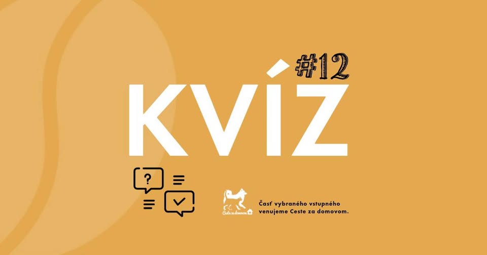 Kvíz #12